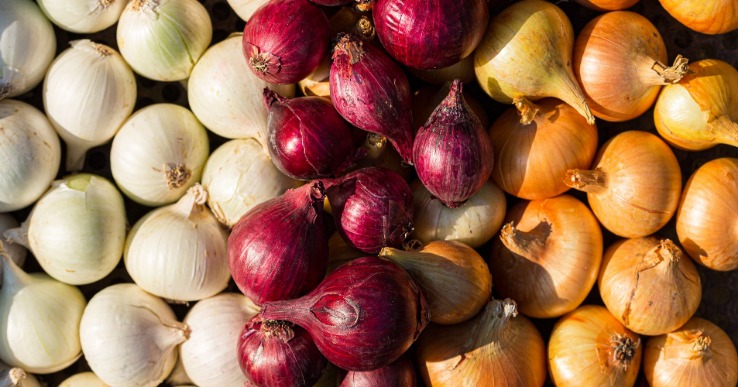 nexus onion