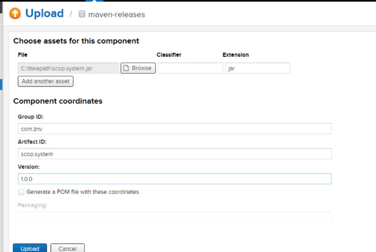 nexus url