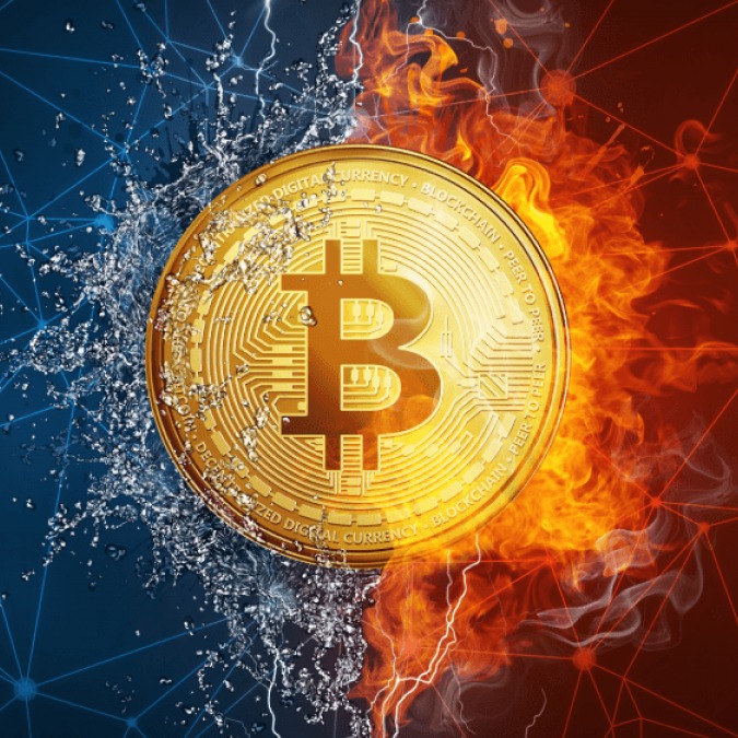 nexus market url