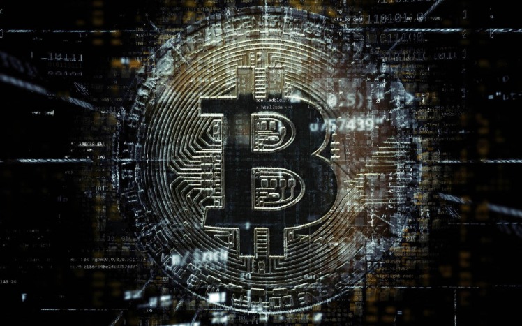 bitcoin dark web