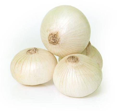 .onion link