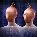 Dark Web Links Market 2026: Verified Onion URLs for Secure Access