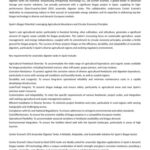 Explore Spain’s Dark Markets 2026: Verified Vendor Listings & Secure Access