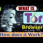 Top Dark Web Onion Markets 2026: Verified Directories & Safety Tips