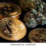 Best Darknet Markets for Marijuana: 2026 Marketplace Guide